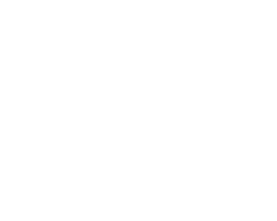 Reza Restoration